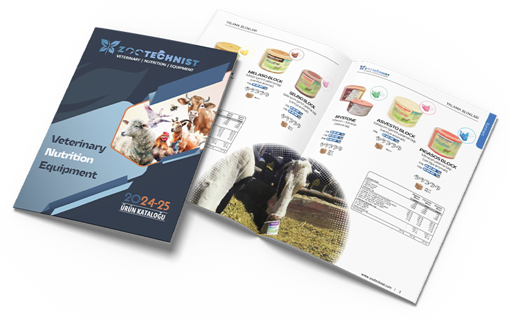 Katalog